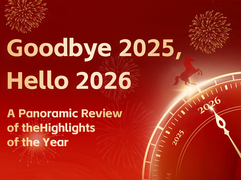 Твёрдые шаги, новые горизонты впереди | 2025: Блестящее достижение Хайтопа